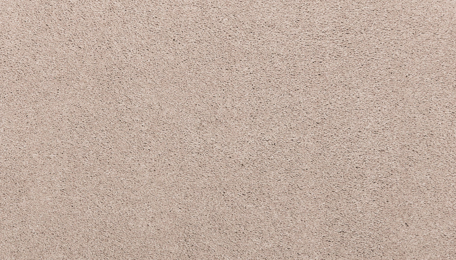 Close-up of Noble Tone Pet Friendly Carpet in Nomad—showing its beige, textured surface with a slightly rough, grainy look and durable finish that withstands everyday wear while offering subtle variations.