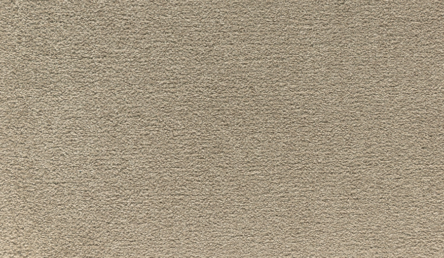 Close-up of Noble Tone Pet Friendly Carpet in Halo—a beige, stain-resistant carpet featuring a soft, textured surface and plush, uniform look, ideal for busy homes seeking style and easy care.