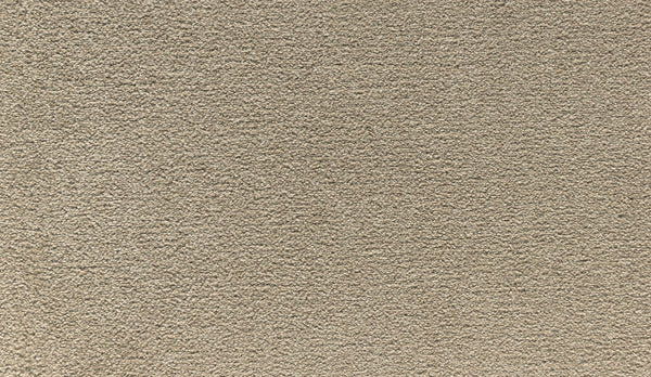 Close-up of Noble Tone Pet Friendly Carpet in Halo—a beige, stain-resistant carpet featuring a soft, textured surface and plush, uniform look, ideal for busy homes seeking style and easy care.