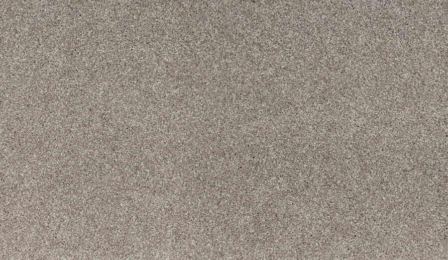 Close-up of Noble Tone Pet Friendly Carpet in Chalet color, showing a uniform textured surface with fine light brown and grayish specks, designed for stain resistance and ideal for homes with pets.