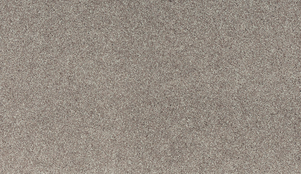 Close-up of Noble Tone Pet Friendly Carpet in Chalet color, showing a uniform textured surface with fine light brown and grayish specks, designed for stain resistance and ideal for homes with pets.
