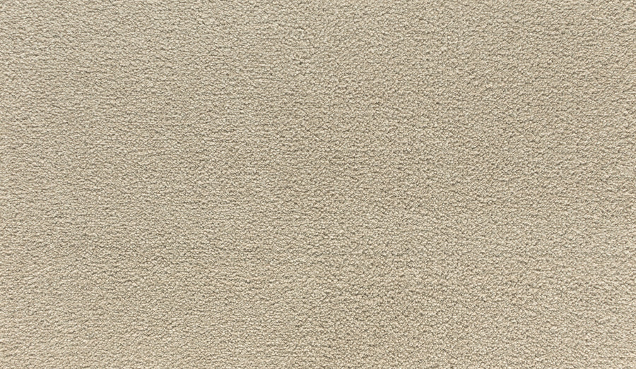 Close-up of Noble Tone Pet Friendly Carpet in Tradition—a beige, durable carpet with a soft, textured surface that's inviting and perfect for pets.