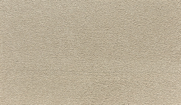 Close-up of Noble Tone Pet Friendly Carpet in Tradition—a beige, durable carpet with a soft, textured surface that's inviting and perfect for pets.