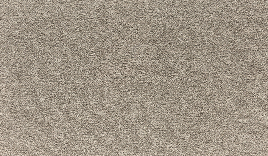 Close-up of Noble Tone Pet Friendly Carpet in Midsummer Light, featuring a beige, textured, stain-resistant surface with dense, uniform pile. The soft fibers create a plush, inviting look that's both durable and ideal for homes with pets.