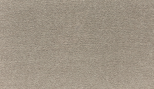 Close-up of Noble Tone Pet Friendly Carpet in Midsummer Light, featuring a beige, textured, stain-resistant surface with dense, uniform pile. The soft fibers create a plush, inviting look that's both durable and ideal for homes with pets.