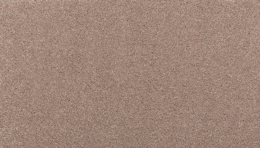 Close-up view of Noble Tone Pet Friendly Carpet in Timeless, highlighting its fine, grainy texture and uniform color—stain-resistant and ideal for functional, practical use in busy, pet-friendly spaces.