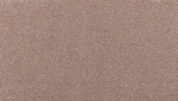 Close-up view of Noble Tone Pet Friendly Carpet in Timeless, highlighting its fine, grainy texture and uniform color—stain-resistant and ideal for functional, practical use in busy, pet-friendly spaces.