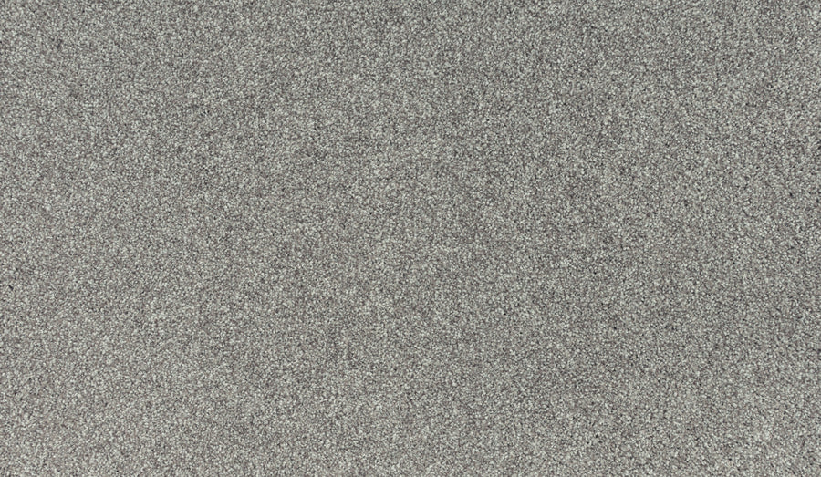 Close-up of Noble Tone Pet Friendly Carpet in Dock color, showing its textured, speckled surface—resembling fine sandpaper or rough stone—designed for durability, stain resistance, and pet-friendly performance.