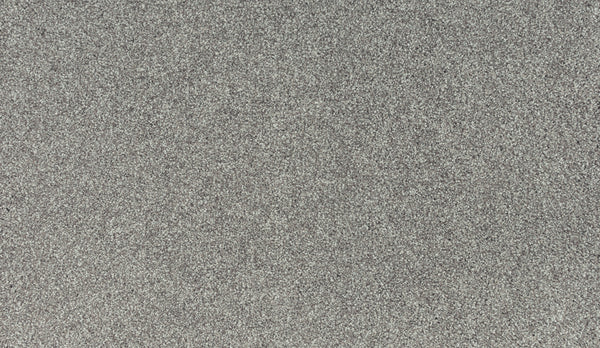Close-up of Noble Tone Pet Friendly Carpet in Dock color, showing its textured, speckled surface—resembling fine sandpaper or rough stone—designed for durability, stain resistance, and pet-friendly performance.