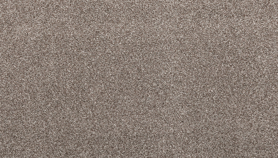 Close-up of Noble Tone Pet Friendly Carpet in Cascade color, featuring densely packed, short fibers and a soft, even texture—this durable carpet is perfect for high-traffic, pet-friendly homes.