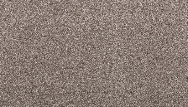 Close-up of Noble Tone Pet Friendly Carpet in Cascade color, featuring densely packed, short fibers and a soft, even texture—this durable carpet is perfect for high-traffic, pet-friendly homes.