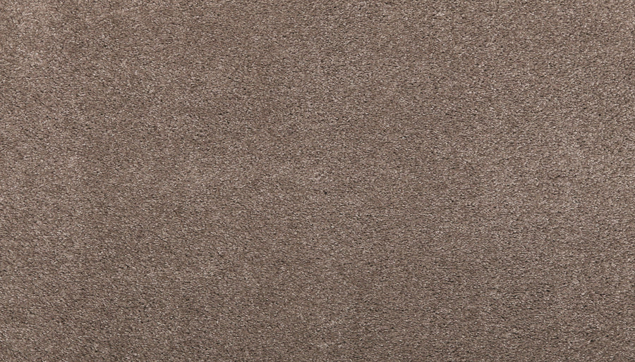 Close-up view of Noble Tone Pet Friendly Carpet in Firewood, featuring a soft, textured surface and slightly varied brown shades that provide comfort and lasting durability.