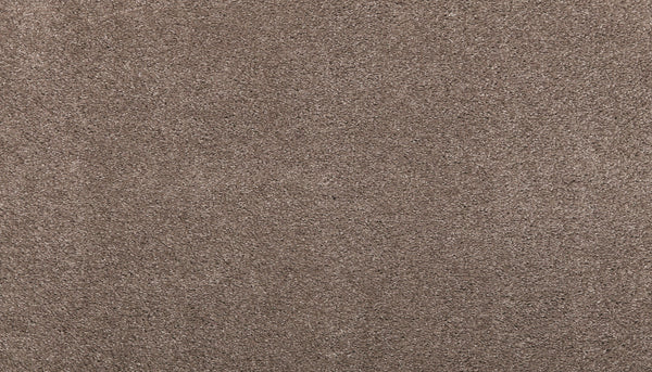 Close-up view of Noble Tone Pet Friendly Carpet in Firewood, featuring a soft, textured surface and slightly varied brown shades that provide comfort and lasting durability.