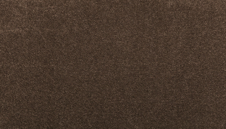Close-up of Noble Tone Pet Friendly Carpet in Fortress color, featuring a brown textured surface with a uniform, soft appearance ideal for pets.