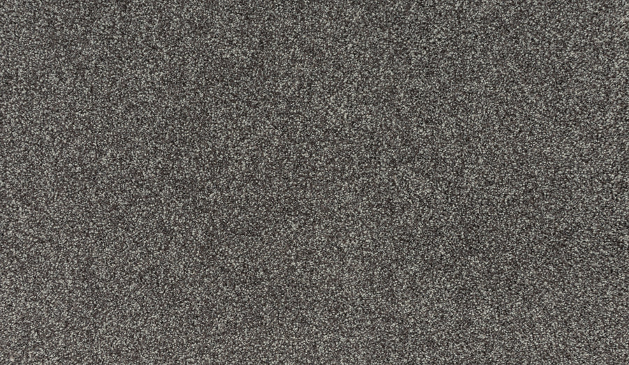 Close-up of Noble Tone Pet Friendly Carpet in Lite Espresso, featuring a textured, stain-resistant surface with varied light and dark fibers for a speckled look—ideal for busy homes.