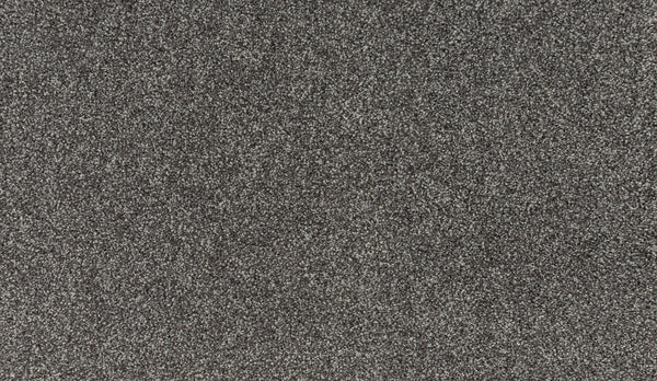 Close-up of Noble Tone Pet Friendly Carpet in Lite Espresso, featuring a textured, stain-resistant surface with varied light and dark fibers for a speckled look—ideal for busy homes.