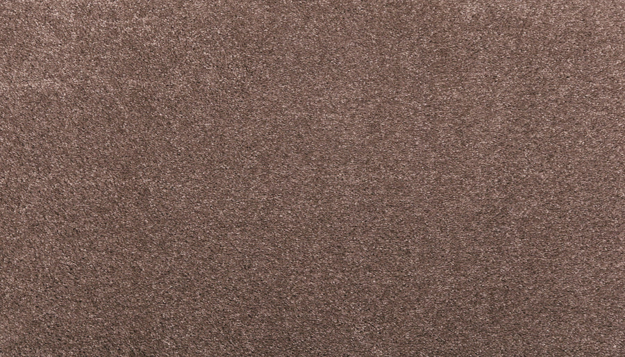 Close-up of Noble Tone Pet Friendly Carpet in Chocolate Chip, featuring a soft, plush texture with even fibers and stain-resistant properties.