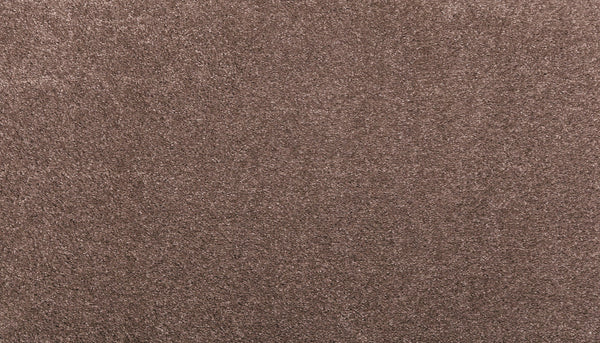 Close-up of Noble Tone Pet Friendly Carpet in Chocolate Chip, featuring a soft, plush texture with even fibers and stain-resistant properties.