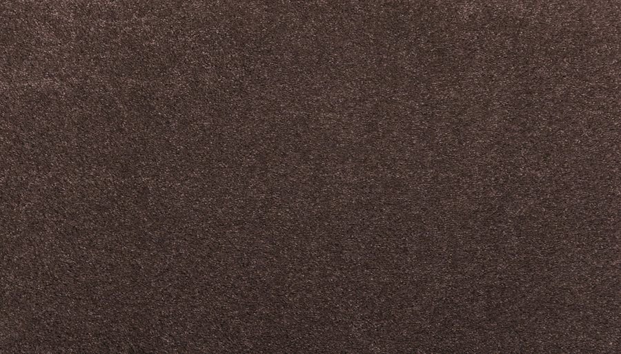 Close-up of Noble Tone Pet Friendly Carpet in Dark Fudge, featuring a soft, textured surface with dense fibers that create a plush look while offering comfort and durability ideal for homes with pets.