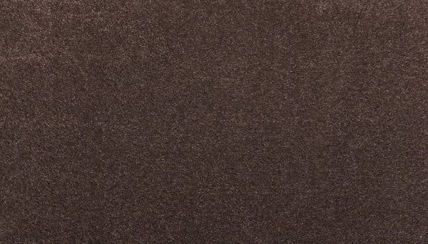 Close-up of Noble Tone Pet Friendly Carpet in Dark Fudge, featuring a soft, textured surface with dense fibers that create a plush look while offering comfort and durability ideal for homes with pets.