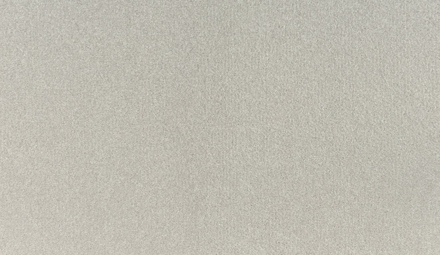 A close-up of the Noble Tone Pet Friendly Carpet in Wisp, featuring a light gray, textured surface with subtle shading and fine, even grains—designed for durability and a pet-friendly home.