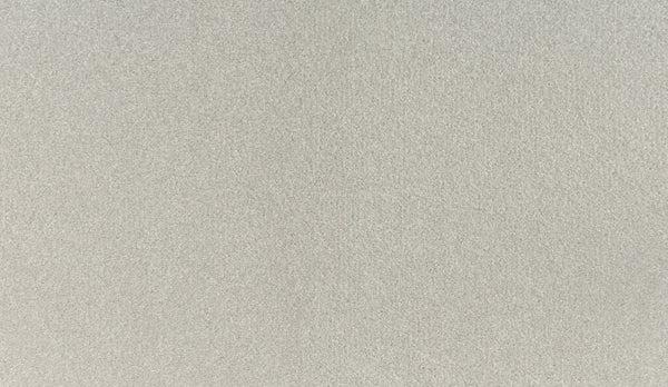 A close-up of the Noble Tone Pet Friendly Carpet in Wisp, featuring a light gray, textured surface with subtle shading and fine, even grains—designed for durability and a pet-friendly home.