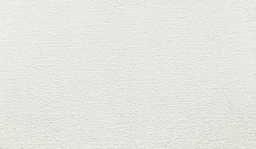 Close-up of Noble Tone Pet Friendly Carpet in Glacier, featuring a white, lightly textured surface with a subtle, uneven pattern—offering durability and a clean look ideal for pet-friendly homes.