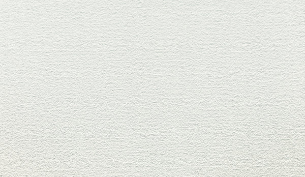 Close-up of Noble Tone Pet Friendly Carpet in Glacier, featuring a white, lightly textured surface with a subtle, uneven pattern—offering durability and a clean look ideal for pet-friendly homes.