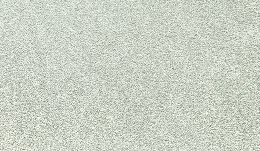 The Noble Tone Pet Friendly Carpet in Urban features a light gray, textured finish with natural variations, inspired by stucco or concrete—its stain-resistant surface stands up to daily wear, making it perfect for busy homes.