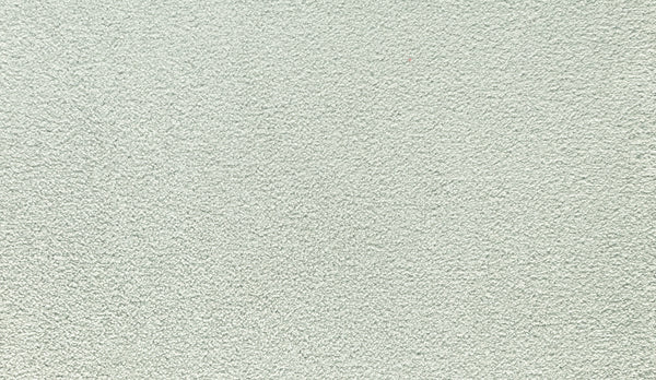 The Noble Tone Pet Friendly Carpet in Urban features a light gray, textured finish with natural variations, inspired by stucco or concrete—its stain-resistant surface stands up to daily wear, making it perfect for busy homes.