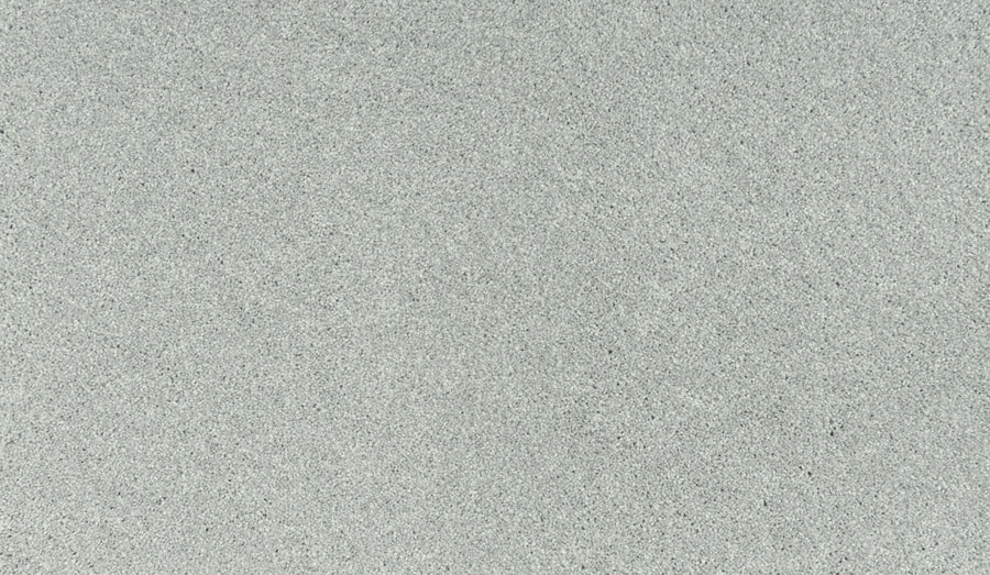 Close-up of Noble Tone Pet Friendly Carpet in Flute—smooth, light gray surface with fine, even texture. Clean and durable with no visible patterns or objects; stain-resistant and ideal for homes with pets.