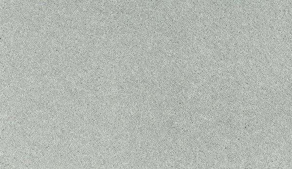 Close-up of Noble Tone Pet Friendly Carpet in Flute—smooth, light gray surface with fine, even texture. Clean and durable with no visible patterns or objects; stain-resistant and ideal for homes with pets.