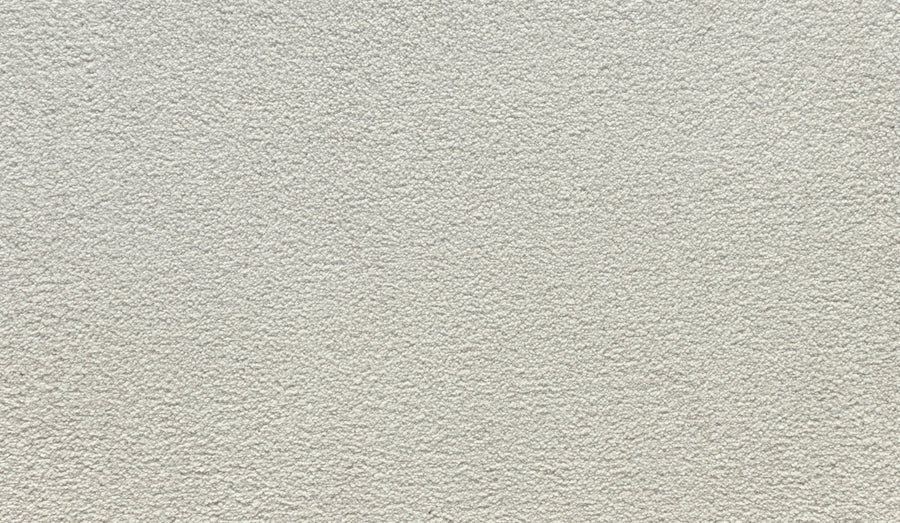 Close-up of a light gray, textured wall with small bumps and an uneven surface, reminiscent of the subtle patterns found in Noble Tone Pet Friendly Carpet in the Ice Fox color. Even lighting highlights its durable, carpet-like finish.