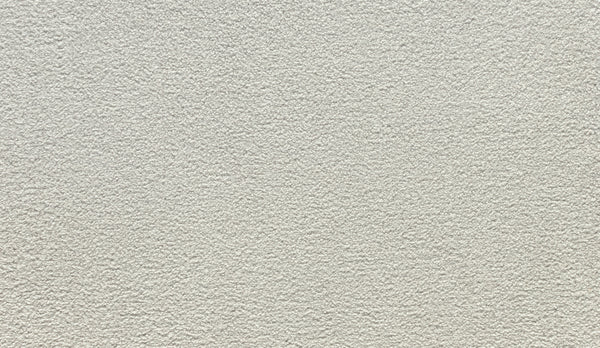 Close-up of a light gray, textured wall with small bumps and an uneven surface, reminiscent of the subtle patterns found in Noble Tone Pet Friendly Carpet in the Ice Fox color. Even lighting highlights its durable, carpet-like finish.