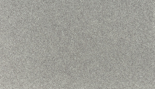 Close-up view of Noble Tone Pet Friendly Carpet in Artic color, featuring fine, light gray fibers for a smooth, uniform texture—durable and ideal for busy homes.
