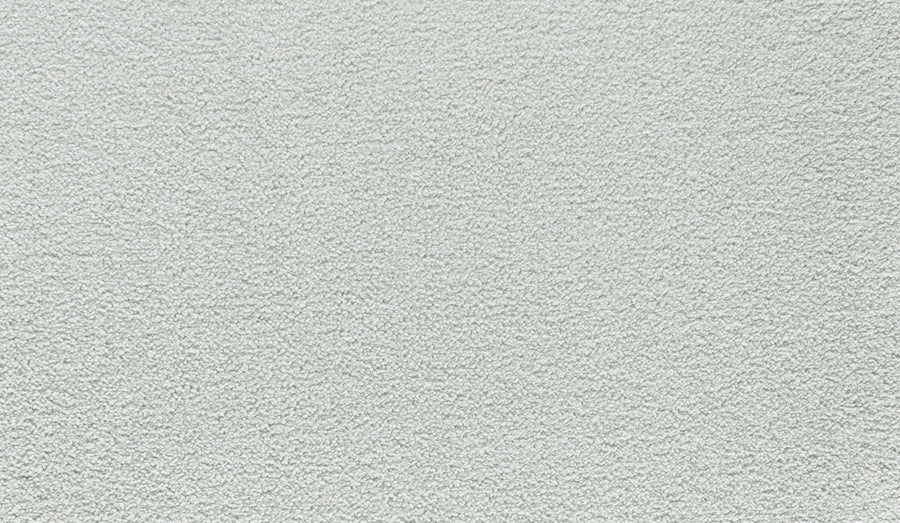 Close-up of Noble Tone Pet Friendly Carpet in Thundercloud, featuring a light gray textured surface with a consistent, durable pattern across the image.