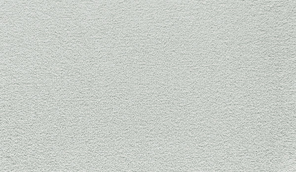 Close-up of Noble Tone Pet Friendly Carpet in Thundercloud, featuring a light gray textured surface with a consistent, durable pattern across the image.