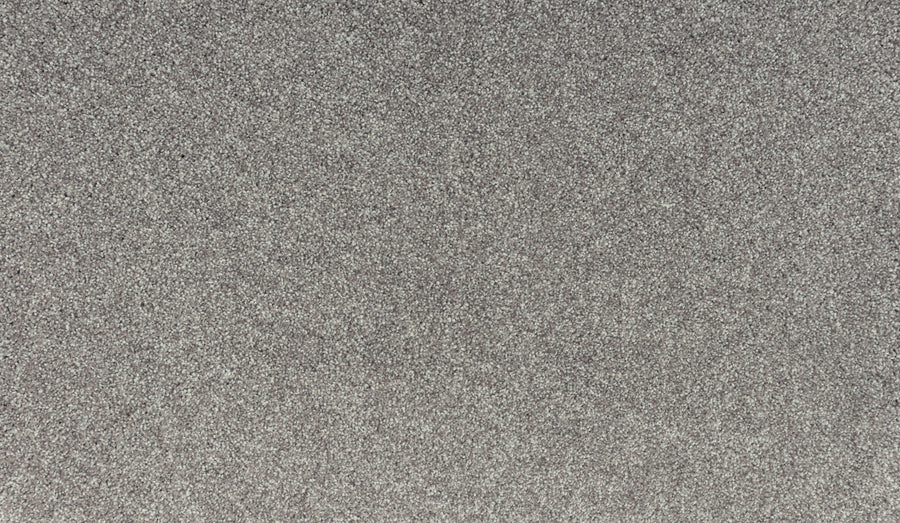 A close-up of the Noble Tone Pet Friendly Carpet in Thin Ice shows a textured gray surface with a uniform, subtly sparkling look—perfect for a durable, pet-friendly, stain-resistant carpet.
