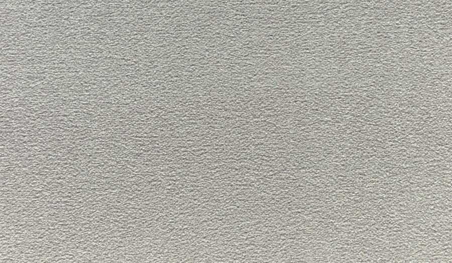 Close-up of Noble Tone Pet Friendly Carpet in Haze, showing its textured, light gray surface with a durable, slightly bumpy pattern and consistent stain-resistant finish throughout.