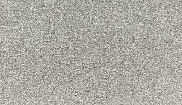 Close-up of Noble Tone Pet Friendly Carpet in Haze, showing its textured, light gray surface with a durable, slightly bumpy pattern and consistent stain-resistant finish throughout.