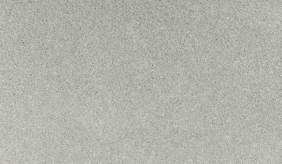 Close-up of Noble Tone Pet Friendly Carpet in Seagull color, showing its light gray, fine-grained texture with subtle speckles and a consistent, durable pattern throughout.