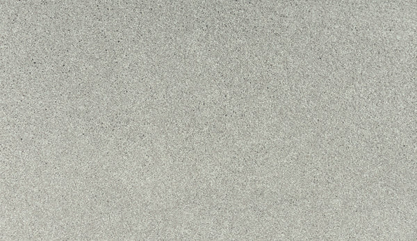 Close-up of Noble Tone Pet Friendly Carpet in Seagull color, showing its light gray, fine-grained texture with subtle speckles and a consistent, durable pattern throughout.