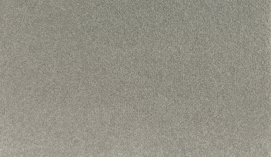 A close-up of the Noble Tone Pet Friendly Carpet in Clam Island color, featuring a gray, uniformly textured surface with a slightly speckled appearance.