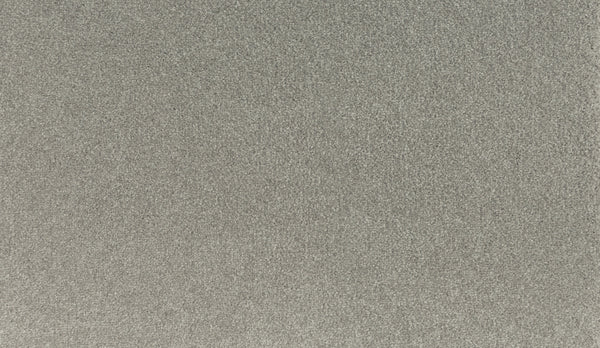 A close-up of the Noble Tone Pet Friendly Carpet in Clam Island color, featuring a gray, uniformly textured surface with a slightly speckled appearance.