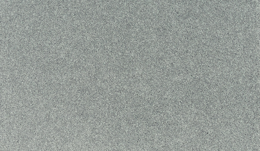 A close-up of Noble Tone Pet Friendly Carpet in Lambs Ear shows a gray, speckled surface with a uniform, durable texture and no distinct patterns—ideal for pet owners seeking resilient flooring.