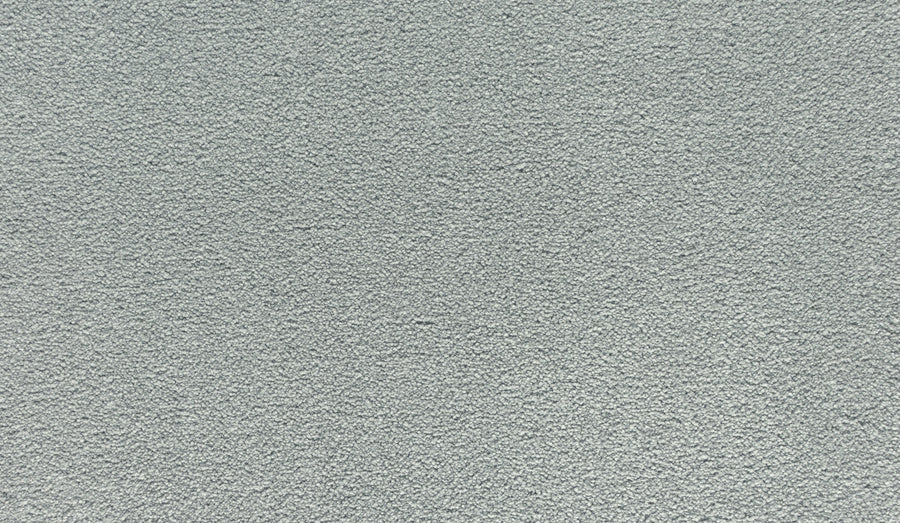 Close-up of Noble Tone Pet Friendly Carpet in Highgate—a light gray, soft, textured surface with a uniform, slightly fuzzy look. Designed for durability and perfect for busy homes with pets.