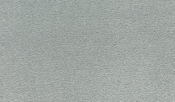 Close-up of Noble Tone Pet Friendly Carpet in Highgate—a light gray, soft, textured surface with a uniform, slightly fuzzy look. Designed for durability and perfect for busy homes with pets.