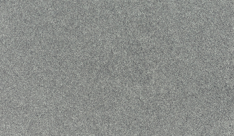 Close-up of Noble Tone Pet Friendly Carpet in Lincoln color, featuring a textured gray surface with a speckled pattern—offering a look similar to granite while being durable, stain-resistant, and pet friendly.