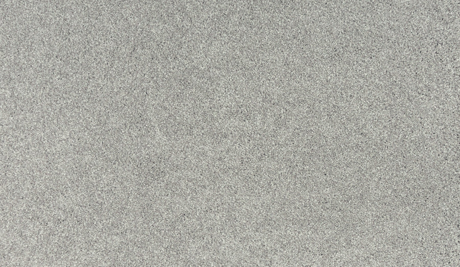 Close-up of Noble Tone Pet Friendly Carpet in Oyster color, showing its durable, grainy texture—perfect for high-traffic areas that require lasting performance.
