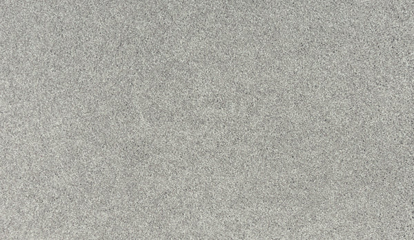 Close-up of Noble Tone Pet Friendly Carpet in Oyster color, showing its durable, grainy texture—perfect for high-traffic areas that require lasting performance.